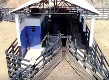 FAZENDA_VALEDOPARAIBA (10)