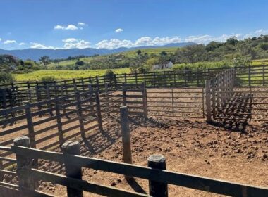 FAZENDA_VALEDOPARAIBA (11)