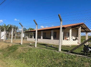 FAZENDA_VALEDOPARAIBA (13)