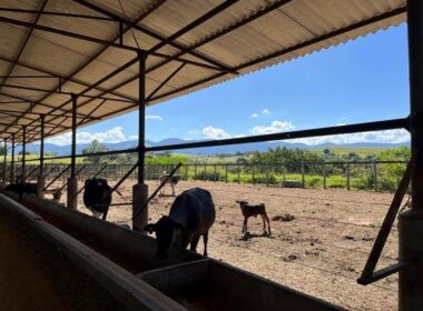 FAZENDA_VALEDOPARAIBA (5)