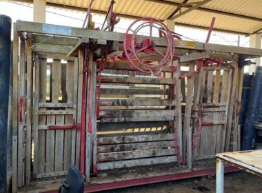 FAZENDA_VALEDOPARAIBA (8)