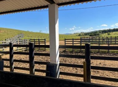 FAZENDA_VALEDOPARAIBA (9)