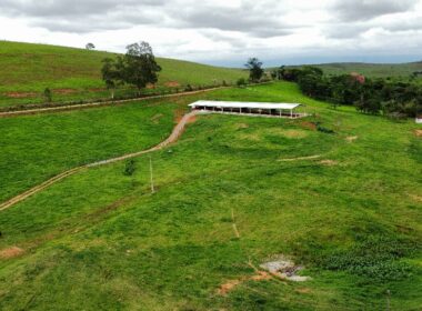 Fazenda Cachoeira (10)