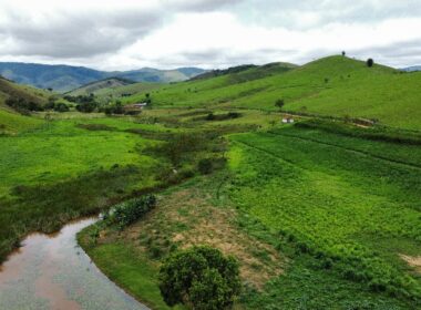 Fazenda Cachoeira (13)