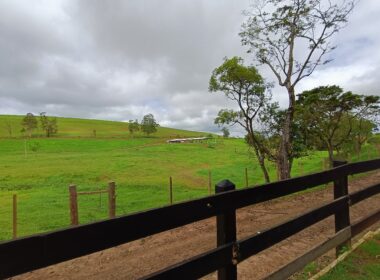 Fazenda Cachoeira (20)
