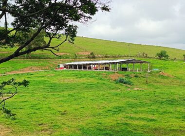 Fazenda Cachoeira (22)