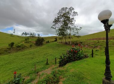 Fazenda Cachoeira (32)