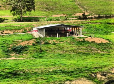 Fazenda Cachoeira (49)