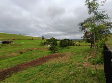 Fazenda Cachoeira (51)