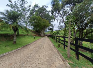 Fazenda Cachoeira (54)