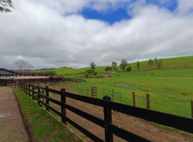 Fazenda Cachoeira (55)