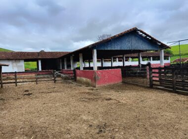 Fazenda Cachoeira (59)