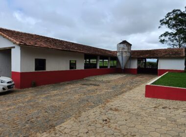 Fazenda Cachoeira (60)