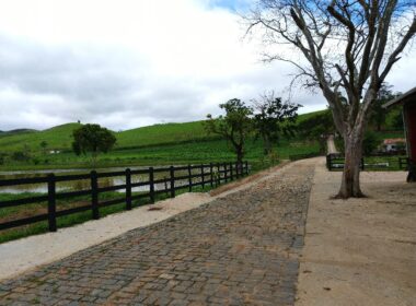 Fazenda Cachoeira (62)