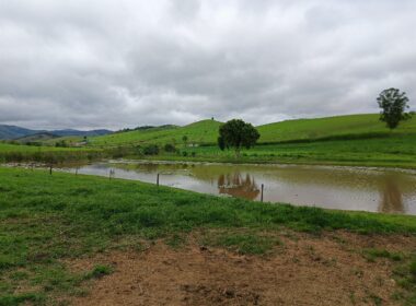 Fazenda Cachoeira (65)