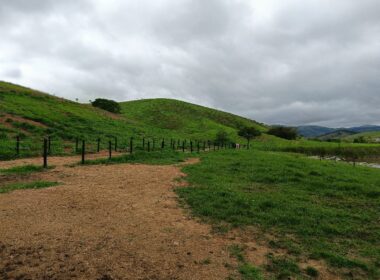 Fazenda Cachoeira (66)