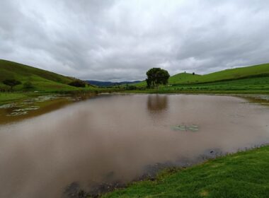 Fazenda Cachoeira (76)