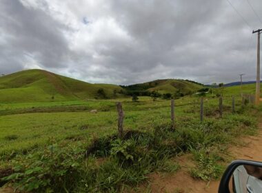 Fazenda Cachoeira (81)