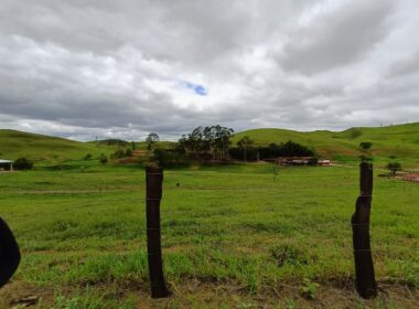 Fazenda Cachoeira (84)