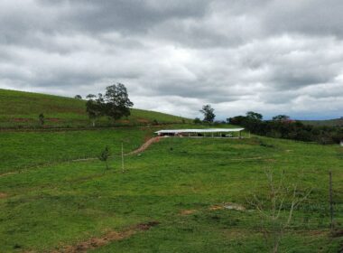 Fazenda Cachoeira (9)