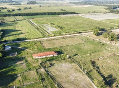 WhatsApp Image 2025-07-28 at 07.48.11 (1)