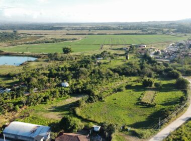 WhatsApp Image 2025-07-28 at 07.48.12 (2)