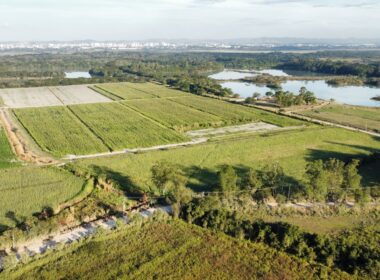 WhatsApp Image 2025-07-28 at 07.48.12 (4)