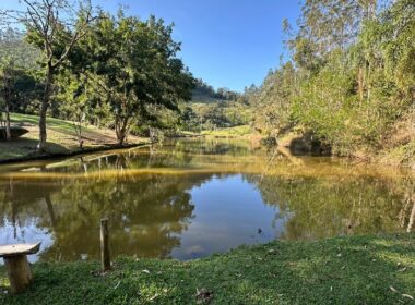 WhatsApp Image 2025-09-15 at 17.11.49