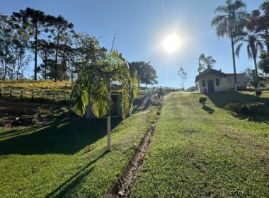 WhatsApp Image 2025-09-15 at 17.11.50