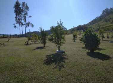 WhatsApp Image 2025-09-15 at 17.12.48