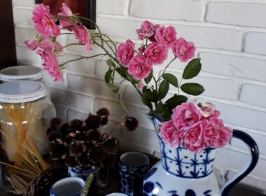 chacara cacapava (12)