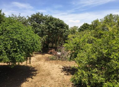 chacara_cacapava (153)