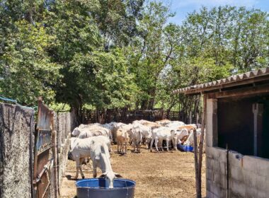 chacara_cacapava (165)