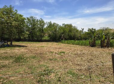 chacara_cacapava (174)