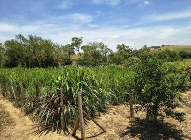 chacara_cacapava (180)