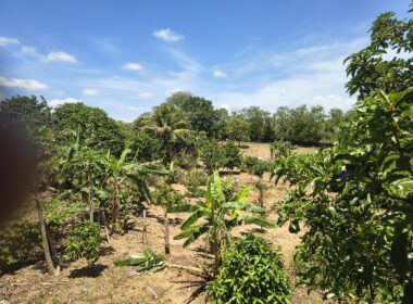 chacara_cacapava (35)