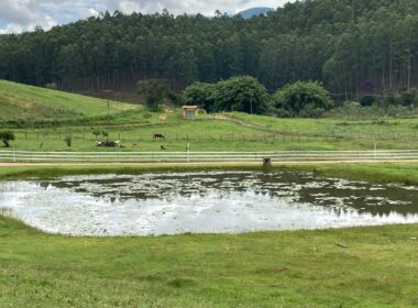 fazenda lagoinha (11)