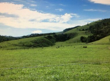 fazenda lagoinha (23)