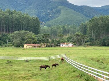 fazenda lagoinha (9)