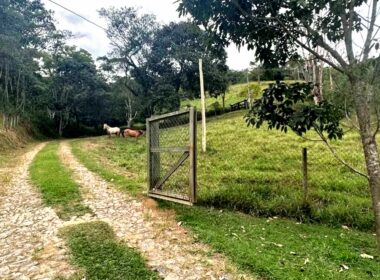 sitio paraibuna r (14)