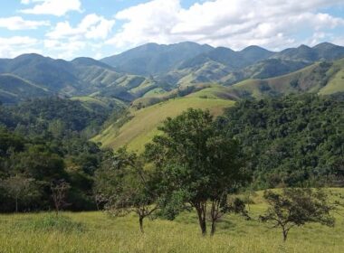 WhatsApp Image 2026-01-14 at 11.01.43