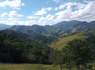 WhatsApp Image 2026-01-14 at 11.01.45