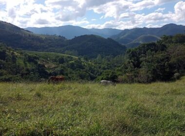 WhatsApp Image 2026-01-14 at 11.01.46