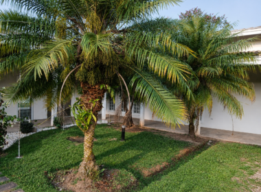 Casa Reserva SF (4)