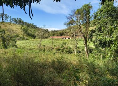 IMG_20260508_103341362_HDR - Copia