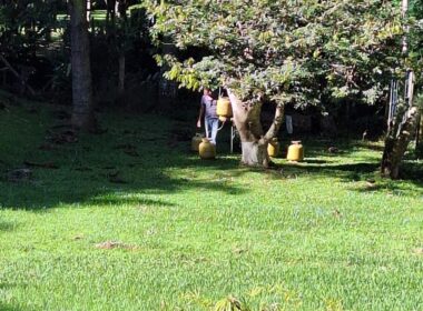 pousada (2)